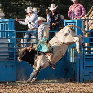 Meet your Posher, Mason